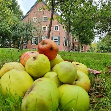Gulfhof Boomgaarden Boomgaarden 5 Memke Apartmán Krummhörn