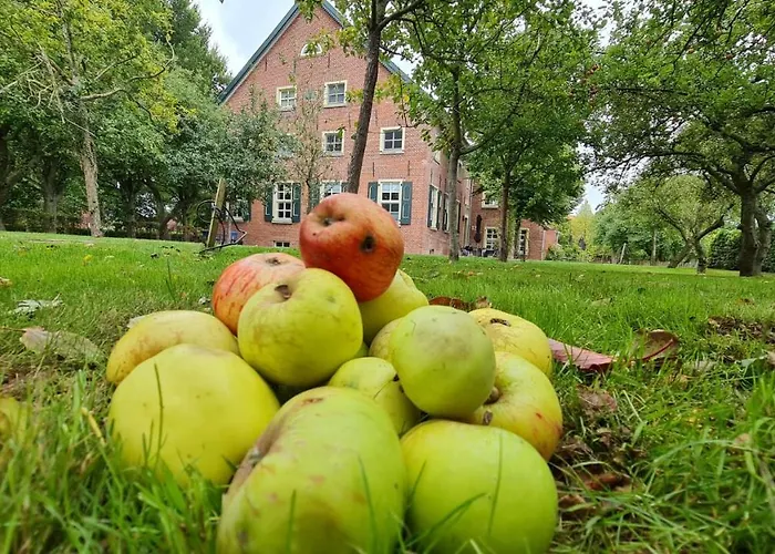 Gulfhof Boomgaarden Boomgaarden 5 Memke Lejlighed Krummhörn