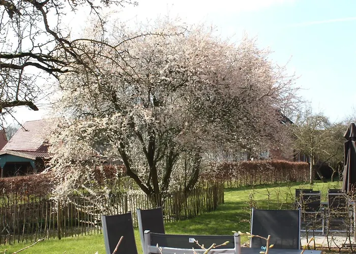 Gulfhof Boomgaarden Boomgaarden 5 Memke Krummhörn